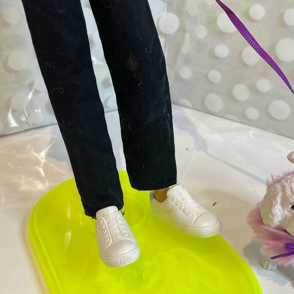 Fashion Barbie & Ken with 🐩Fancy pup - Picture 10 of 12